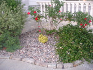 Mr. & Mrs. A. J.’s Front Yard